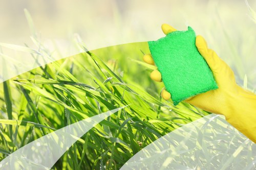 Professional sofa cleaning service for a Merton home living room