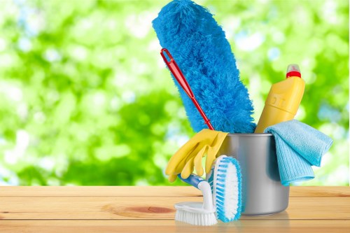 Cleaner preparing a one-off deep clean in a Merton home