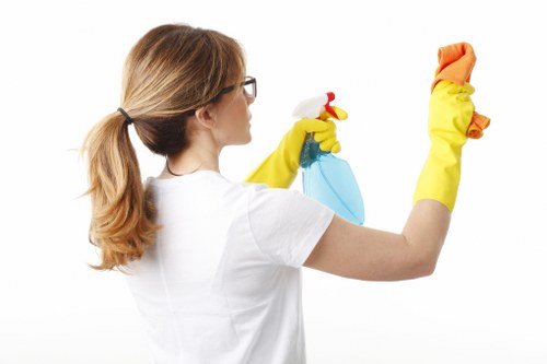 Close-up of carpet cleaning process in a Merton home or office