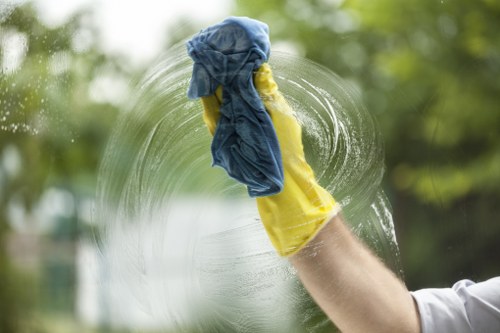 Upholstery cleaning for pet stains and lingering smells in a Merton living room