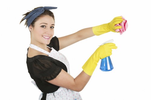 End of tenancy cleaning service in a Merton flat