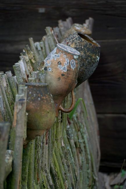 Three weathered, rusty metal pots hanging on a rustic wooden fence made of uneven, aged timber planks. The pots exhibit signs of corrosion, moss, and dirt, suggesting they have been exposed to the elements for some time. The fence is situated outdoors, with a dark wooden wall visible in the background. The scene is illuminated by natural light, emphasizing the textures and aged appearance of the pots and fence. This image relates to surface cleaning and maintenance similar to processes involved in removing stubborn mould from carpets, as highlighted by Carpet Cleaners Merton’s residential cleaning services.